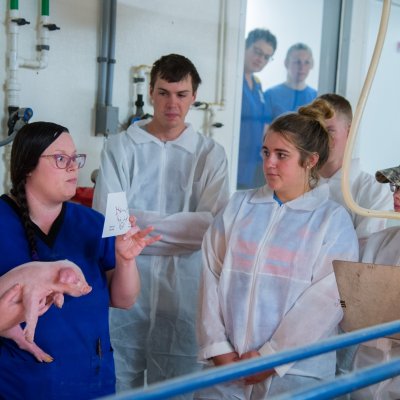 Swine Science Certificate Students