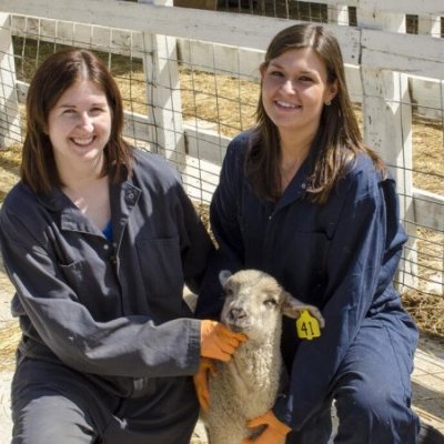 students with sheep