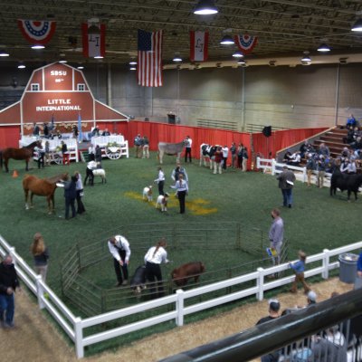 View of Little I arena