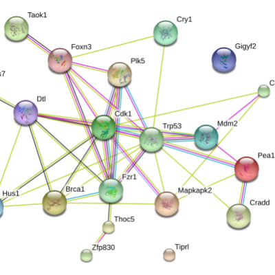 Bioinformatics