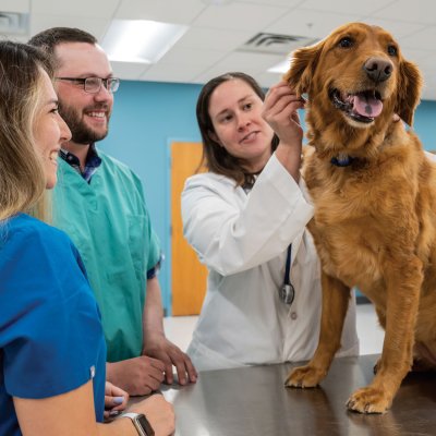 students with dog