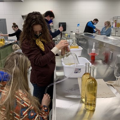 Students working in a brewing lab.