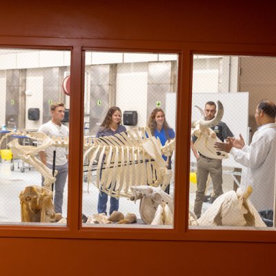 Veterinary Medicine Anatomy Lab