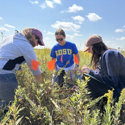 Students looking at grasses outside during a lab.