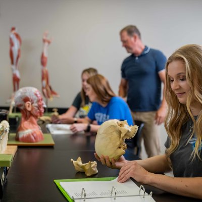 students and faculty studying in the anatomy lab