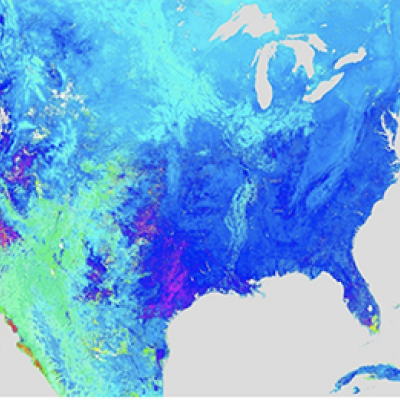 VIIRS phenology product