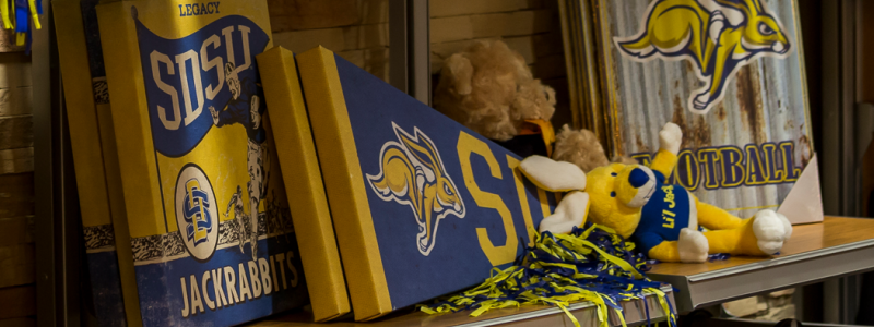 SDSU Bookstore Display