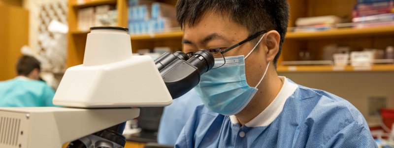 Student using microscope