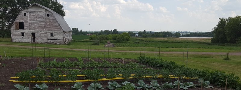 Garden in the country