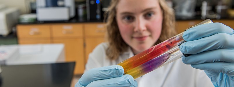 a woman looks a test tubes in a lab 