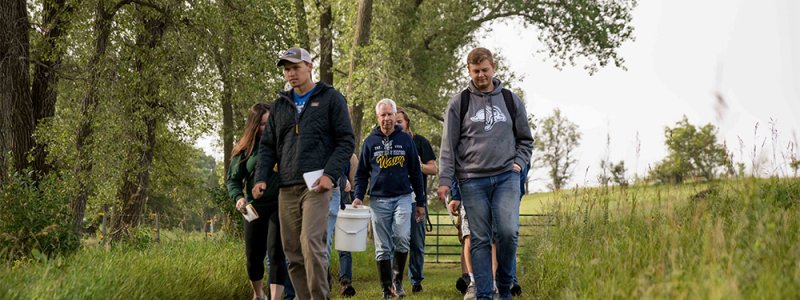 students walk by trees