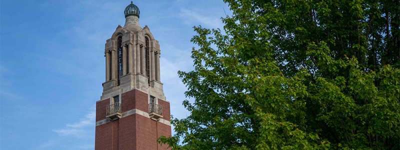 image of campanile with tree on the right of the photo