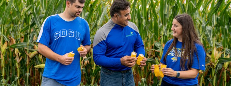 Agronomy Hort Plant Science students inspect corn