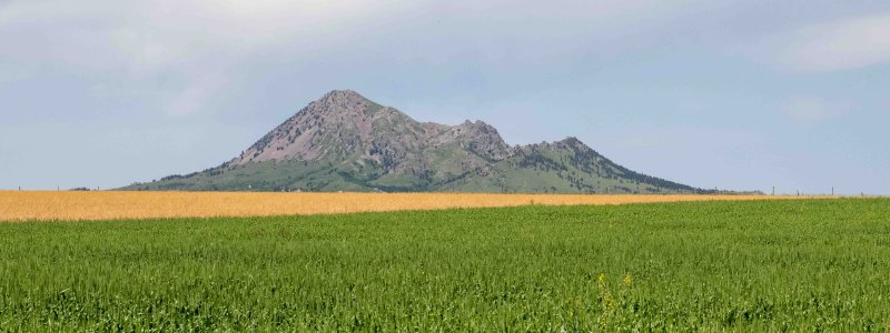 Bear Butte 