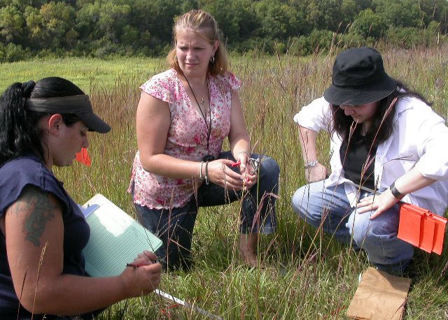 Botany team