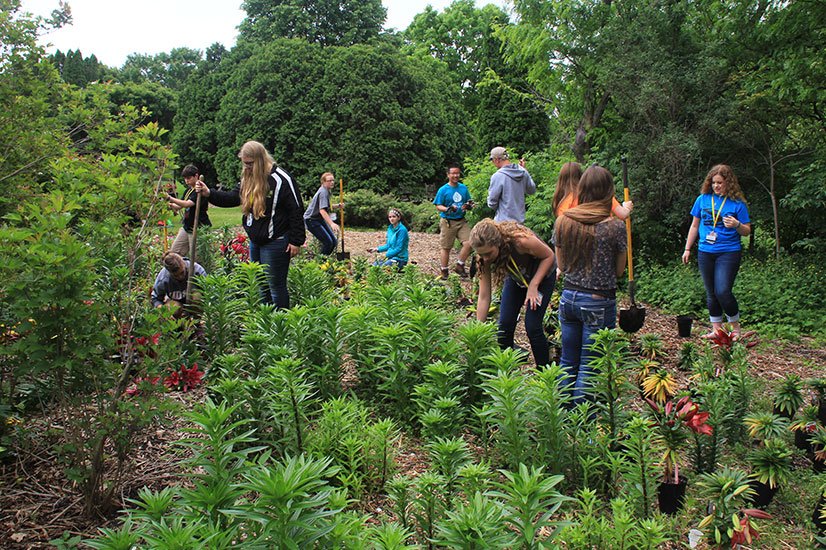 students working with plants