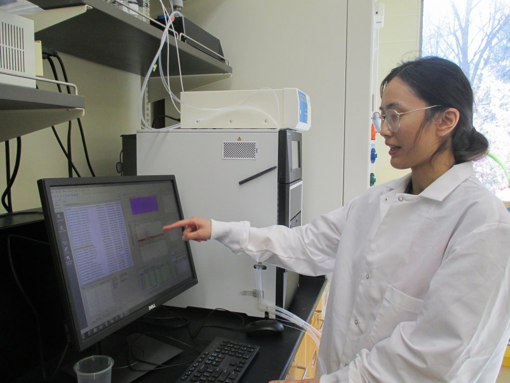 student pointing at a monitor