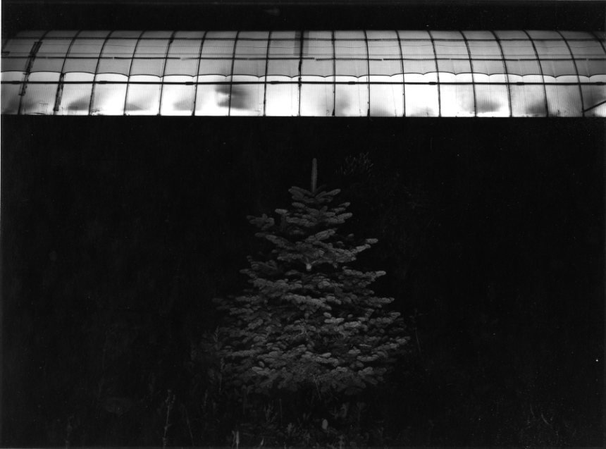 John Banasiak, "untitled," gelatin silver print on Portiga Rapid paper, 1981, South Dakota Art Museum 2019.03.04. Gift of Joseph and Signe Stuart, © John Banasiak