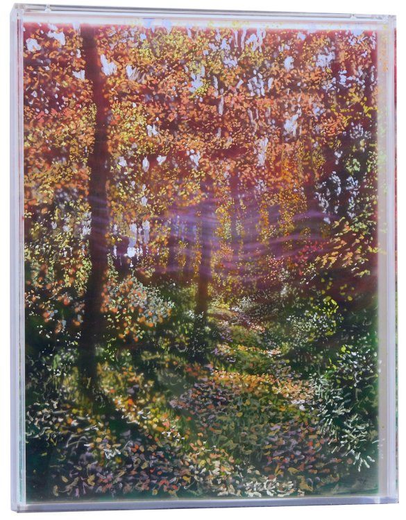 Martin Weinstein, "Path, November, 3 Years," © Martin Weinstein 2016, acrylic on multiple acrylic sheets