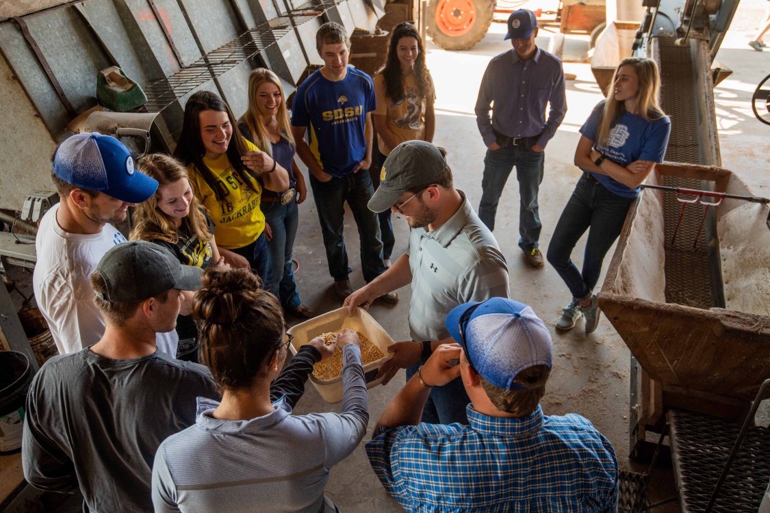 Students examining a bucket of feed