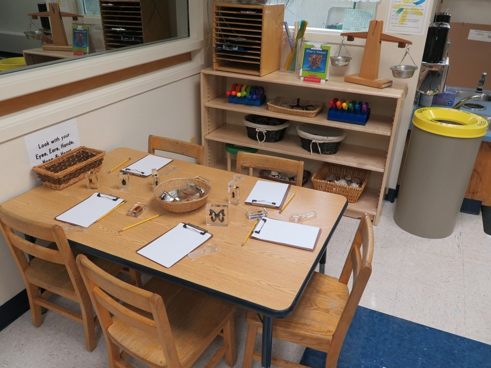 4 & 5 year old science table with magnifying glasses and materials to examine.