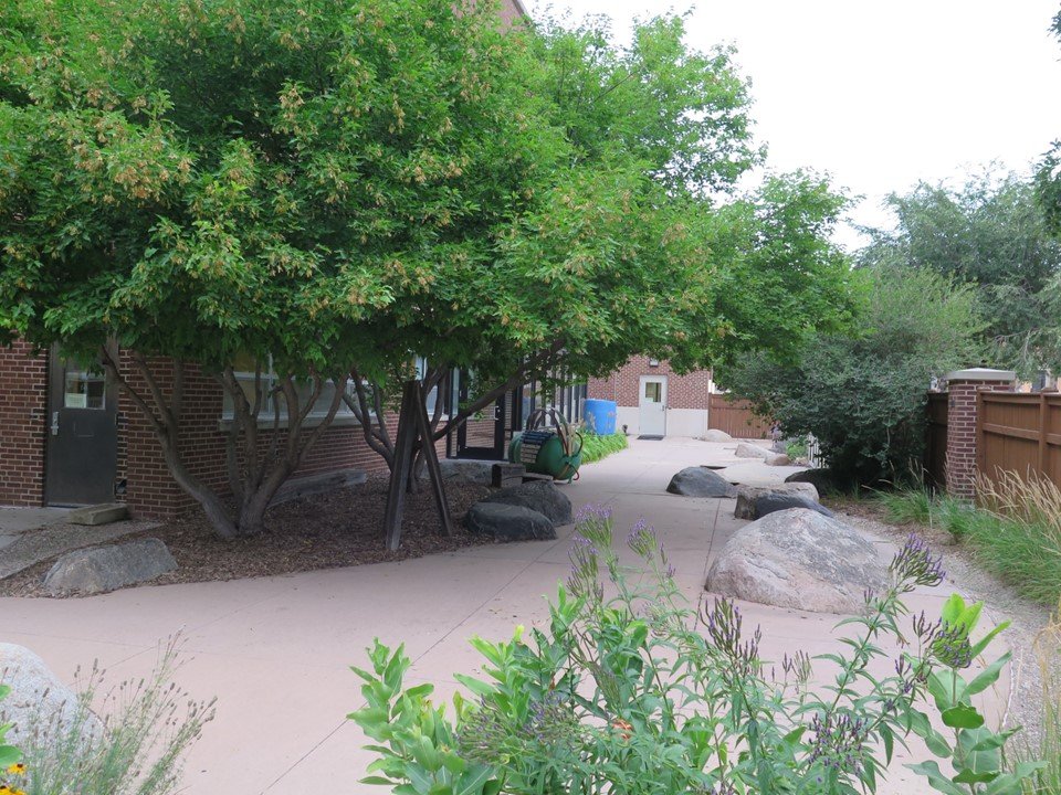 A view of the playground showing the climbing trees and balancing rocks.