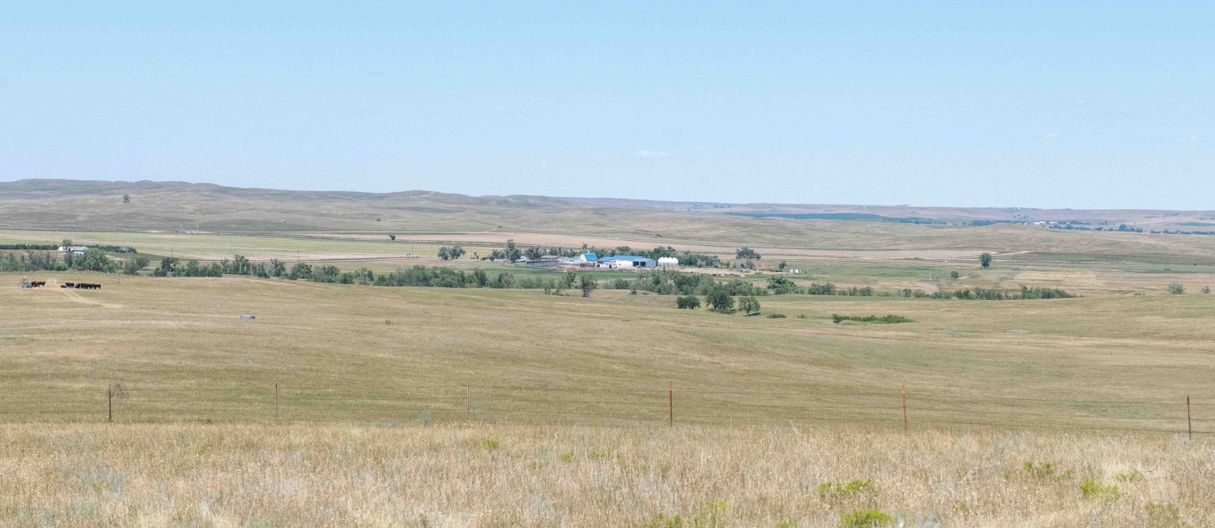 Cottonwood Field Station 