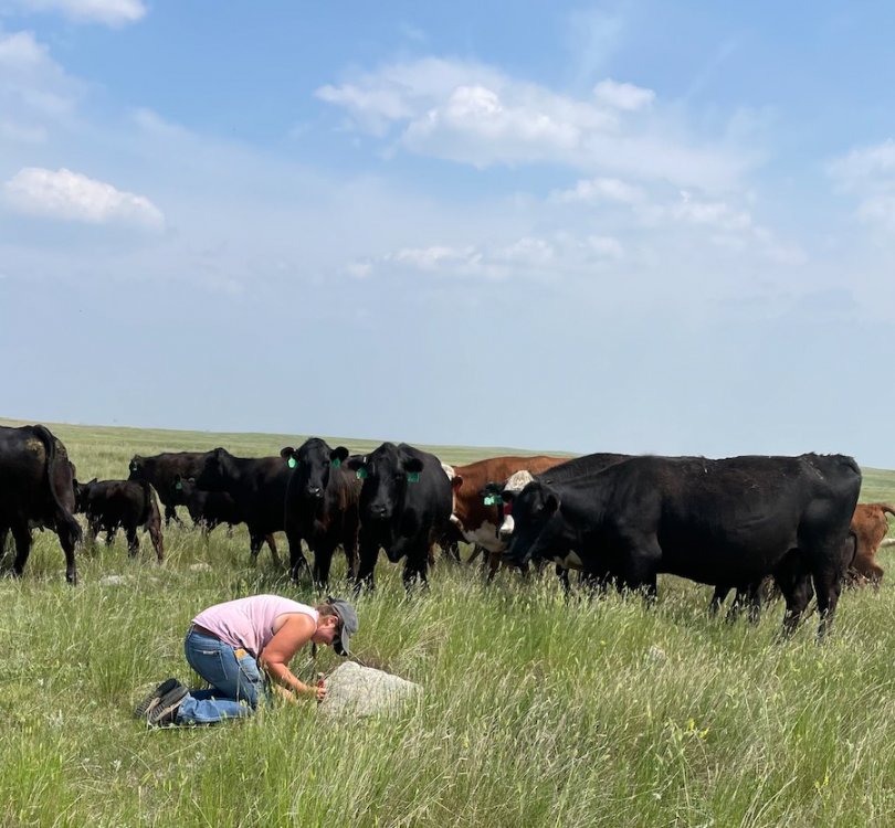 Gathering plants