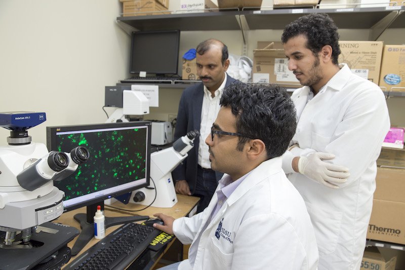 Graduate students using microscope