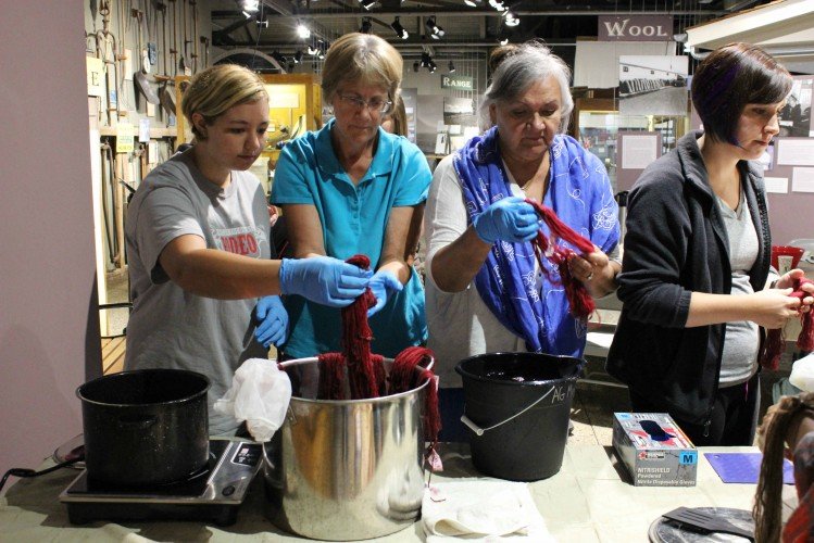 Dyeing Using Plants Workshop led by Kelly Knispel of Dakota Carding & Wool Co.