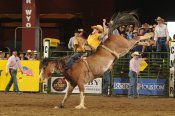 Nick Schwedhelm CNFR 2014