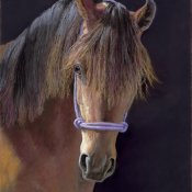 Rita Tate, "Susie," soft pastel,2009, SDAM 2010.12.1, South Dakota Art Museum Guild Purchase